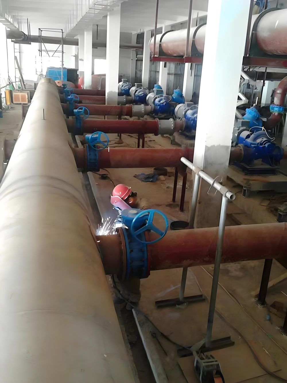 1716868751564171.jpg